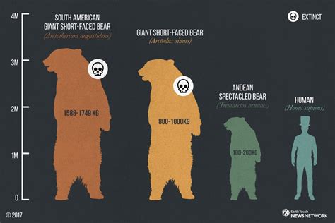 Size comparison of short faced bears : Naturewasmetal