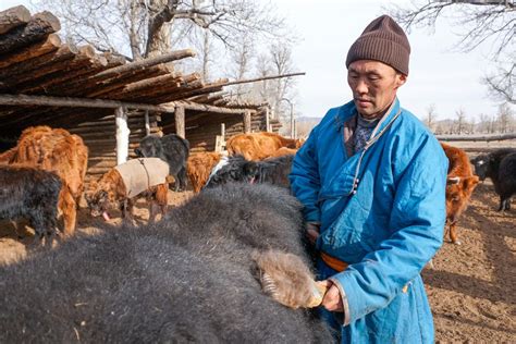 Global Press Journal Opens in Mongolia as Coronavirus Spreads Through Asia