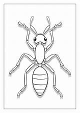 A Is For Ant Holding Apple coloring Page  Download Print Or Color sketch template