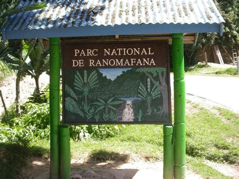 Ranomafana National Park (Fianarantsoa) - 2018 All You Need to Know Before You Go (with Photos ...