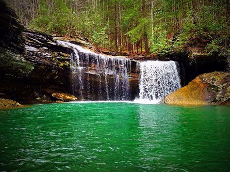 Visit Sale Creek: 2024 Travel Guide for Sale Creek, Tennessee | Expedia