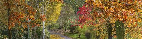 arboretum-autumn-1 | Bodenham Arboretum