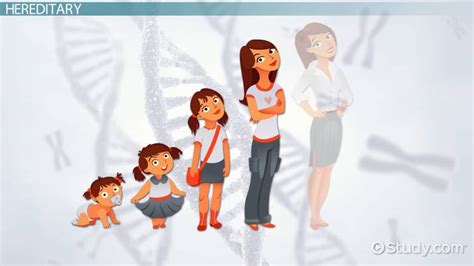 Factors Influencing Growth & Development - Lesson | Study.com