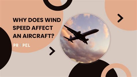 Effect of Wind on Airplane | Preventive Measures (2024 Updated)