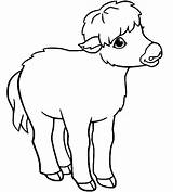50  Yak Coloring Pages Free Printable PDF JPG PNG & Online Coloring sketch template