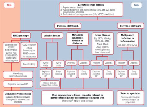 RACGP - Elevated serum ferritin – what should GPs know?