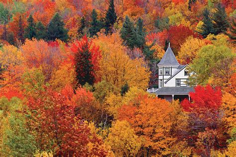 Catskills Fall Foliage 2024 Schedule - Una Lianne