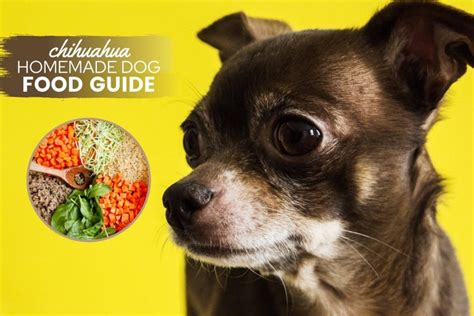 Homemade Dog Food For Chihuahuas Guide: Recipes, Nutrition & Tips - Canine Bible