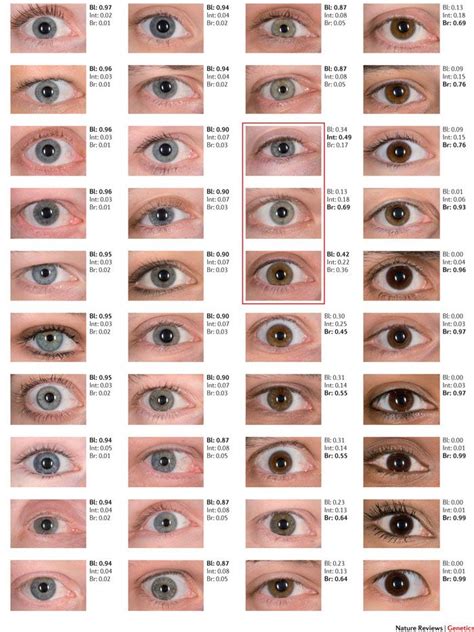 Natural Eye Colors List