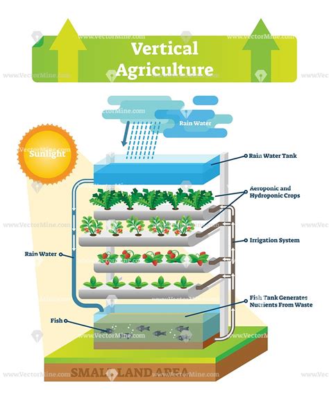 Vertical agriculture environment scheme vector illustration | Vertical farming, Hydroponics ...