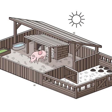 How to Set up a Pig Pen | Pig farming, Raising pigs, Backyard farming