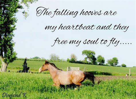 My heart | Horse quotes, Horses, Horse galloping