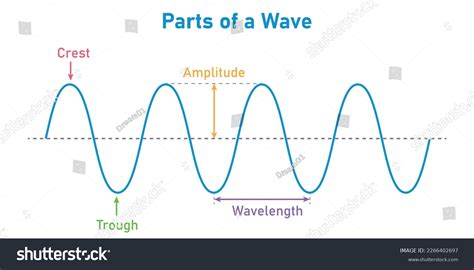 Parts Transverse Wave Physics Basic Properties Stock Vector (Royalty Free) 2266402697 | Shutterstock