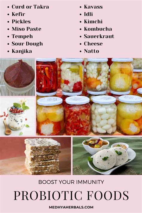 11 Homemade Probiotic Foods for Healthy Gut and Brain (Ultimate Guide)