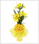 Yellow Roses n Lilies at best price in Pune by Star Flowers Decorators | ID: 6459102148