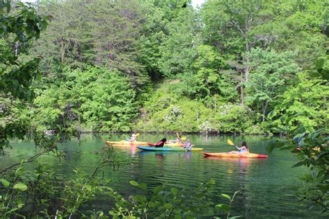 Kayak Little River | Alapark