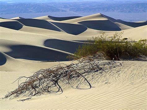 Free picture: sand, dunes, desert