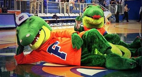 Albert and Alberta at the ODome for some BBall! Go Gators!! | Gator, Gator basketball ...