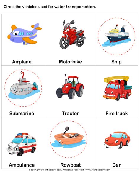 Types of Water Transport Worksheet - Turtle Diary