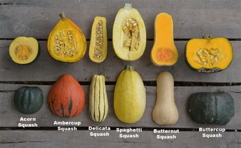 Going Gaga for Gourds | Let’s Hear It For the Squash – The Blog at The Olive Shoe | | Easy ...