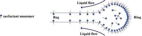 Schematic of the Marangoni effect in drop breakup | Download Scientific ...