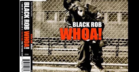 How Much Is Black Rob Worth? Unveiling His Net Worth