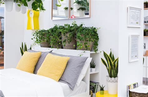 Our favourite bedroom plant ideas | IKEA - IKEA