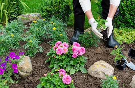 Horticulture vs Botany | What is the Difference?