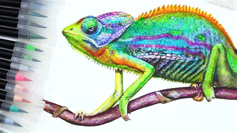 Realistic Chameleon Drawing