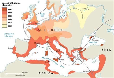 Learning from our past — what can previous pandemics teach us about ...