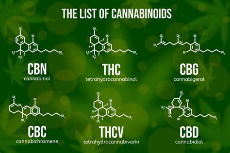 The Ultimate Guide to CBG vs. CBD: Effects, Benefits, and Uses - Green Revolution