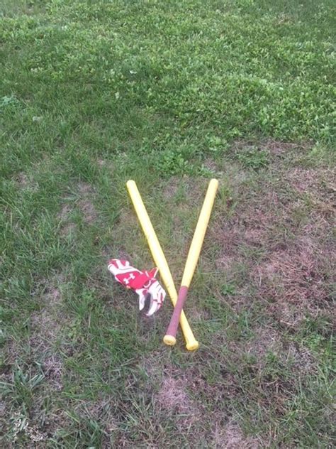 Wiffle Ball Bat Review - Wiffle Ball Bat - Little Ebbets Field