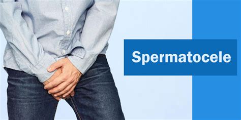 Ayurvedic Treatment for Spermatocele - Symptoms, Causes and Diagnosis ...