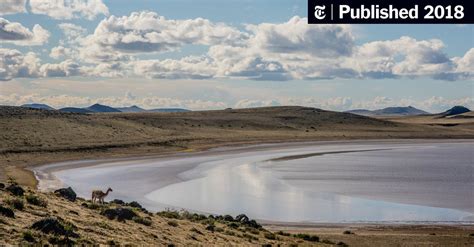 In Chilean Patagonia, Following a Track to the End of the World - The ...