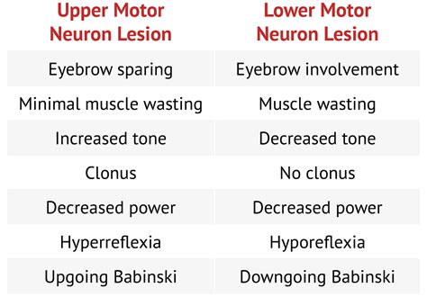 Upper Motor Neuron Lesion Of Nerve Symptoms - Infoupdate.org