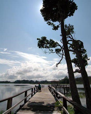 Brunei Share: Nature in Brunei