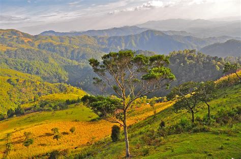 Montecristo National Park, El Salvador | Elissar | Flickr
