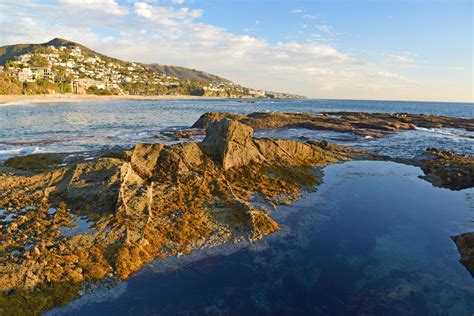 Laguna Beach Tide Pools - California Beaches