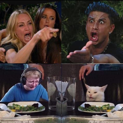 Taylor Armstrong and Pauly D yelling at each other whilst call me carson cries and the cat is ...