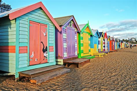 Brighton Beach Huts Photograph by Catherine Reading | Fine Art America