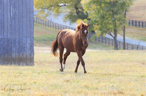 Kermadec Trench | Second Stride Inc.