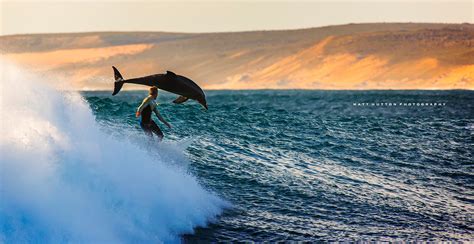 Surfing in Western Australia: The Best Surf Spots | Perth Girl