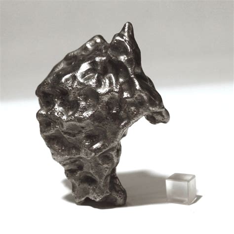 Sikhote Alin meteorite. Sculptural shape - Meteolovers