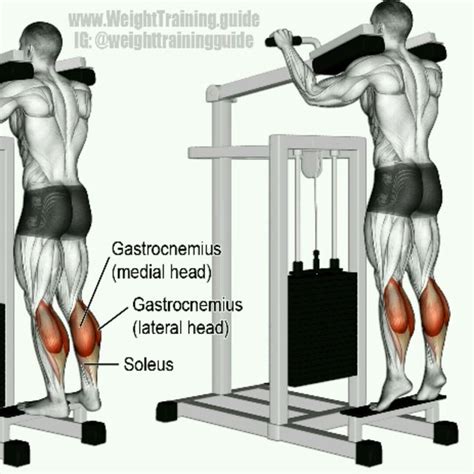 How To Do Standing Calf Raises