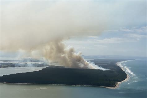 SunLive - Fire continues to ravage Matakana Island - The Bay's News First