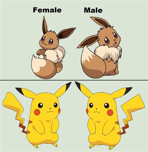 Pikachu And Eevee gender differences by twidashfan1234 on DeviantArt