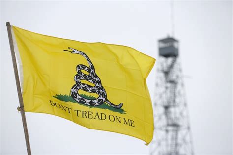 The Yellow Gadsden Flag Carries a Long and Shifting History | The National Interest