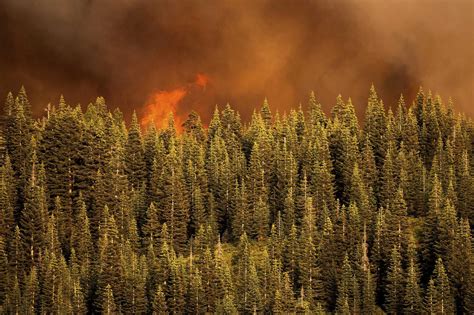 Dixie Fire: New evacuations ordered in Plumas County as blaze grows to ...