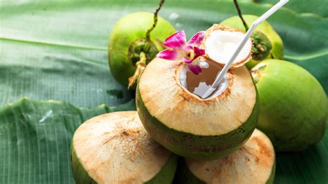 8 Resep Es Kelapa Muda yang Segar dan Enak, Cocok untuk Menu Berbuka ...