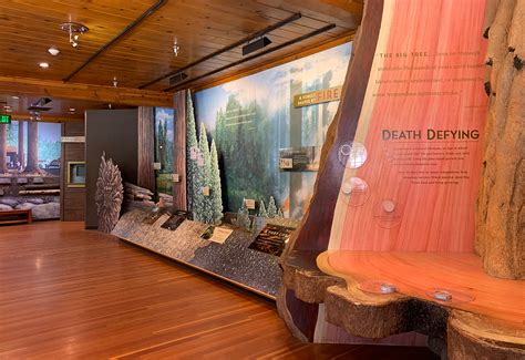 Historic Giant Forest Museum At Sequoia National Park - Inspired Imperfection